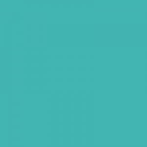 Couleur additionnel Turquoise - Moshibear