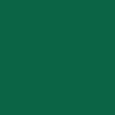 Couleur additionnel Vert Sapin - Moshibear